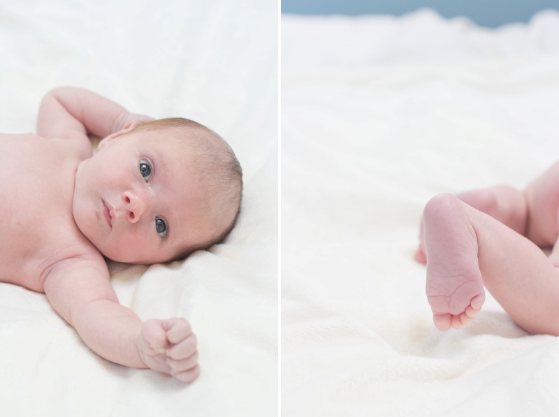 Newborn Photos - www.lauraclarkephotos.com